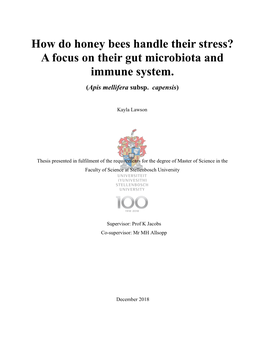 How Do Honey Bees Handle Their Stress? a Focus on Their Gut Microbiota and Immune System