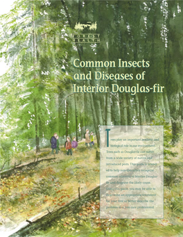 Common Insects and Diseases of Interior Douglas-Fir