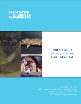 Procyonid (Procyonidae) Care Manual