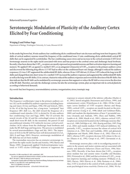 Serotonergic Modulation of Plasticity of the Auditory Cortex Elicited by Fear Conditioning