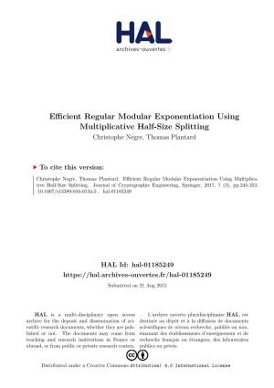 Efficient Regular Modular Exponentiation Using Multiplicative