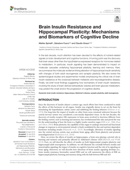Brain Insulin Resistance and Hippocampal Plasticity: Mechanisms and Biomarkers of Cognitive Decline