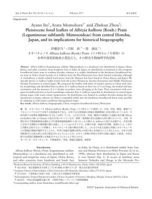 Pleistocene Fossil Leaflets of Albizia Kalkora