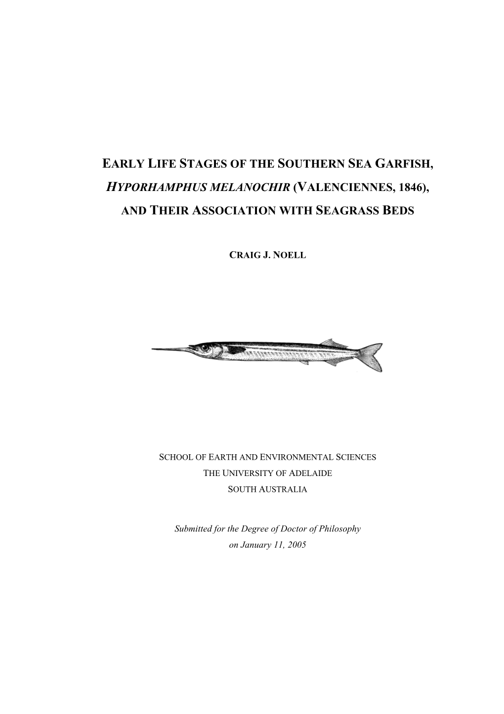 Early Life Stages of the Southern Sea Garfish, Hyporhamphus Melanochir ...