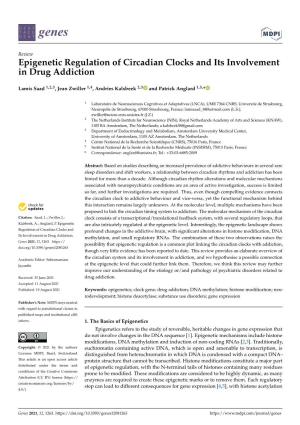 Epigenetic Regulation of Circadian Clocks and Its Involvement in Drug Addiction