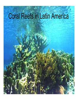 Coral Reefs in Latin America Coral Reefs: Definitions