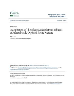 Precipitation of Phosphate Minerals from Effluent of Anaerobically Digested Swine Manure Alex Y