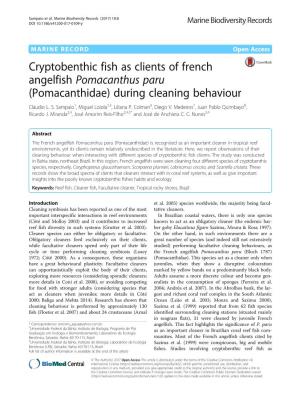 Cryptobenthic Fish As Clients of French Angelfish Pomacanthus Paru (Pomacanthidae) During Cleaning Behaviour Cláudio L