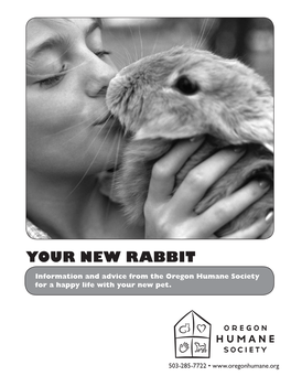 Your New Rabbit