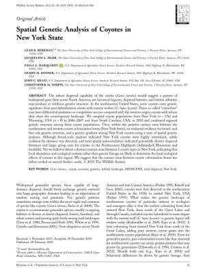 Spatial Genetic Analysis of Coyotes in New York State