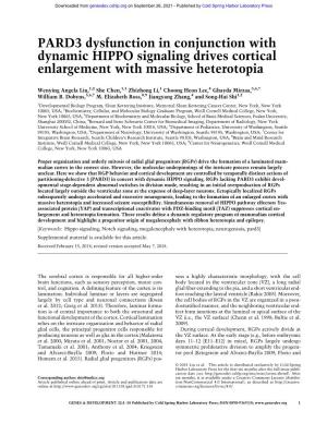 PARD3 Dysfunction in Conjunction with Dynamic HIPPO Signaling Drives Cortical Enlargement with Massive Heterotopia