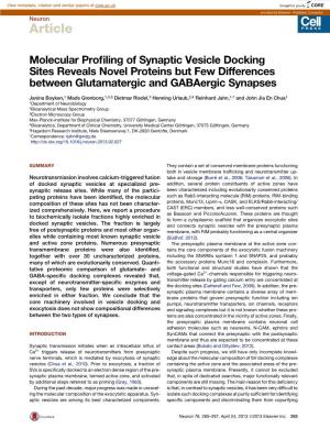 Molecular Profiling of Synaptic Vesicle Docking Sites Reveals
