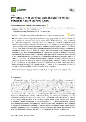 Phytotoxicity of Essential Oils on Selected Weeds: Potential Hazard on Food Crops