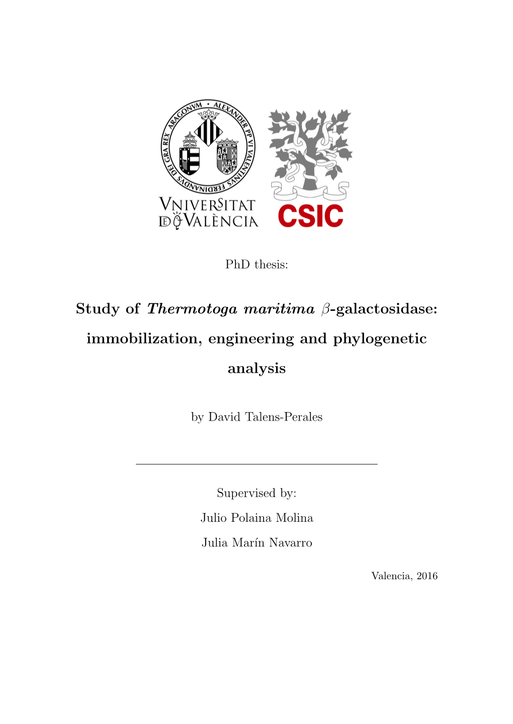 Study of Thermotoga Maritima Β-Galactosidase