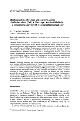 Rooting Systems of Western and Southern African Faidherbia Albida (Del.) A