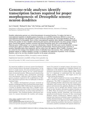 Genome-Wide Analyses Identify Transcription Factors Required for Proper Morphogenesis of Drosophila Sensory Neuron Dendrites