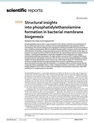Structural Insights Into Phosphatidylethanolamine Formation in Bacterial Membrane Biogenesis Gyuhyeok Cho, Eunju Lee & Jungwook Kim*