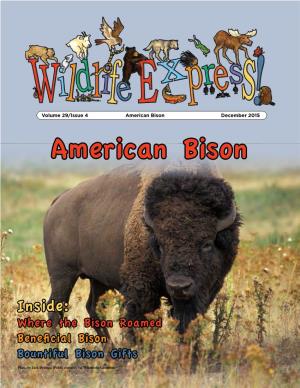 Wildlife Express Newsletter