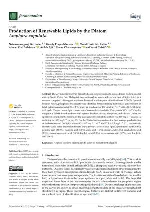 Production of Renewable Lipids by the Diatom Amphora Copulata