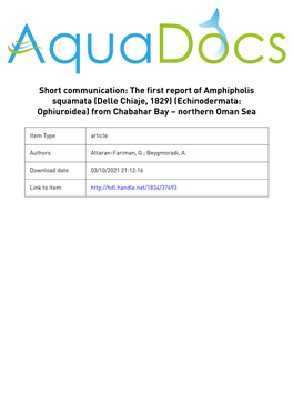 The First Report of Amphipholis Squamata (Delle Chiaje, 1829) (Echinodermata: Ophiuroidea) from Chabahar Bay – Northern Oman Sea