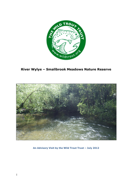 River Wylye – Smallbrook Meadows Nature Reserve