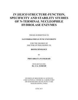 In Silico Structure-Function, Specificity and Stability Studies of N-Terminal Nucleophile Hydrolase Enzymes