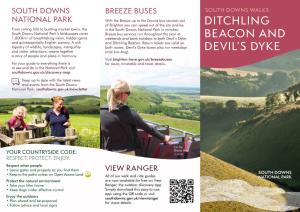 Ditchling Beacon and Devil's Dyke