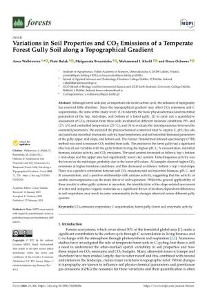 Variations in Soil Properties and CO2 Emissions of a Temperate Forest Gully Soil Along a Topographical Gradient