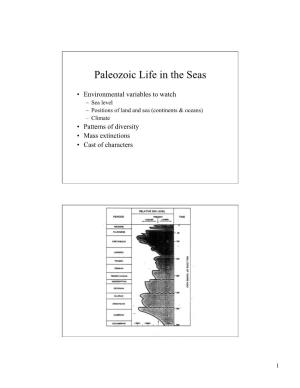 Paleozoic Life in the Seas