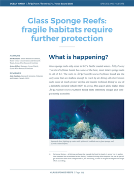 Glass Sponge Reefs: Fragile Habitats Require Further Protection