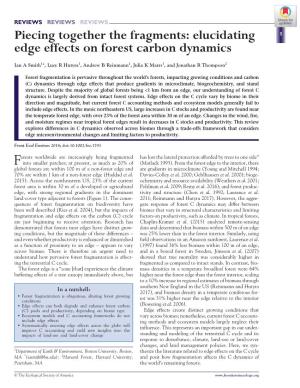 Elucidating Edge Effects on Forest Carbon Dynamics
