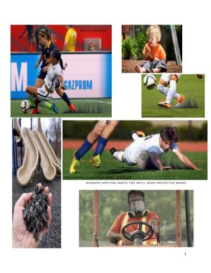 Concerns and Risks Related to Synthetic Turf and Crumb Rubber and Alternative Infills
