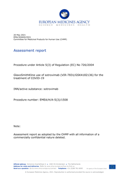 Assessment Report