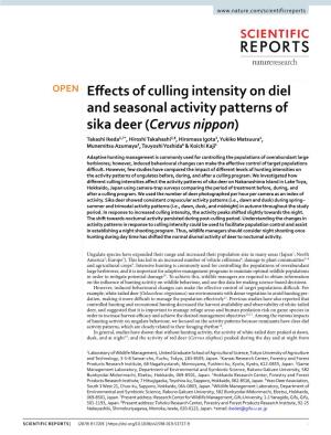 Effects of Culling Intensity on Diel and Seasonal Activity Patterns of Sika Deer