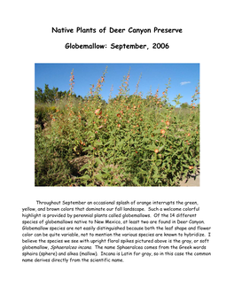 Native Plants of Deer Canyon Preserve Globemallow