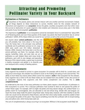 Attracting and Promoting Pollinator Variety in Your Backyard