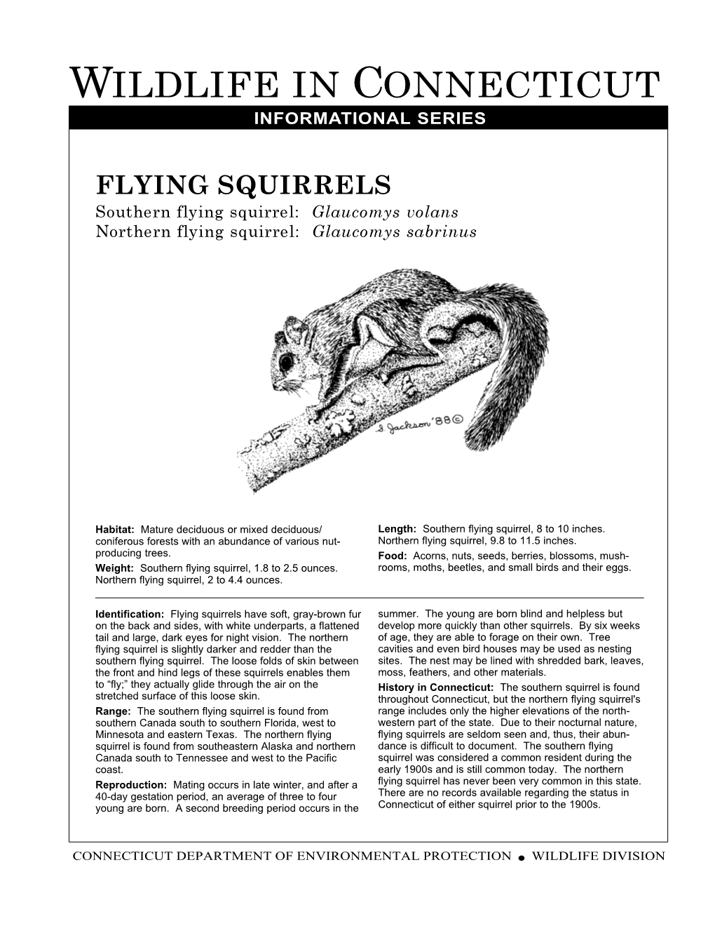FLYING SQUIRRELS Southern Flying Squirrel: Glaucomys Volans Northern Flying Squirrel: Glaucomys Sabrinus