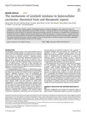 The Mechanisms of Sorafenib Resistance in Hepatocellular Carcinoma: Theoretical Basis and Therapeutic Aspects