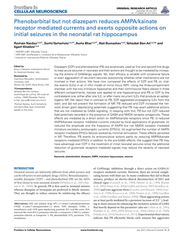 Phenobarbital but Not Diazepam Reduces AMPA/Kainate Receptor Mediated Currents and Exerts Opposite Actions on Initial Seizures in the Neonatal Rat Hippocampus