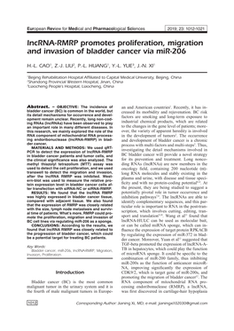 Lncrna-RMRP Promotes Proliferation, Migration and Invasion of Bladder Cancer Via Mir-206