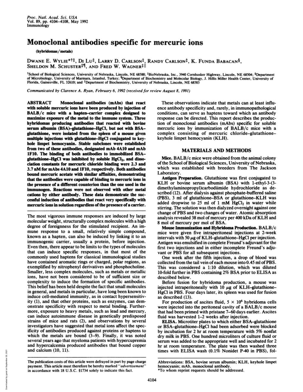 Monoclonal Antibodies Specific for Mercuric Ions (Hybridomas/Metals) DWANE E