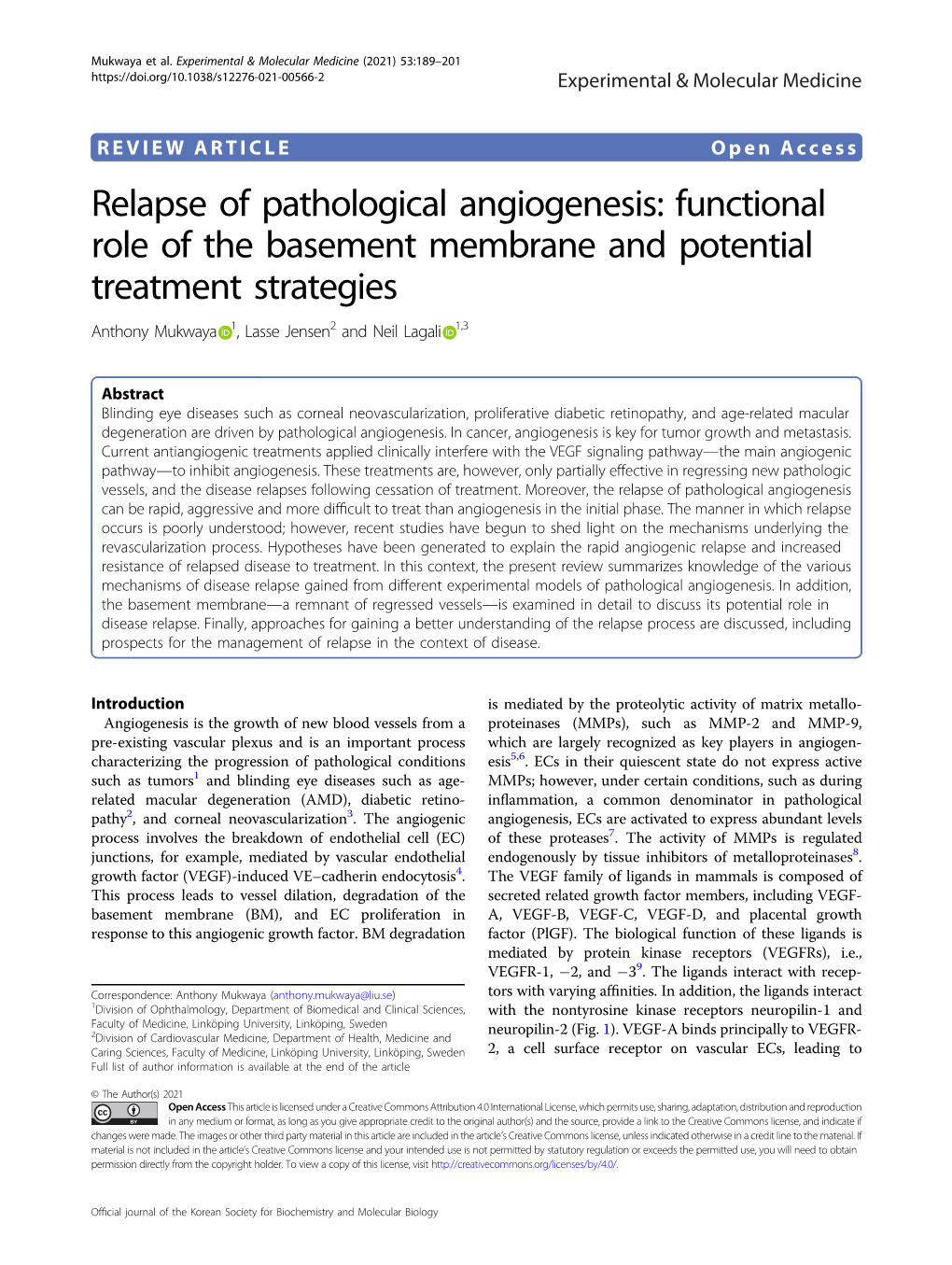 Relapse of Pathological Angiogenesis: Functional Role of the Basement Membrane and Potential Treatment Strategies Anthony Mukwaya 1, Lasse Jensen2 and Neil Lagali 1,3