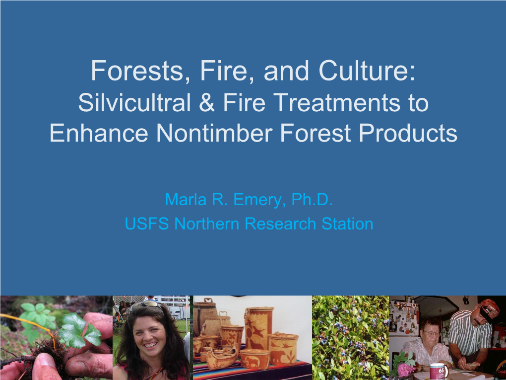 Forests, Fire, and Culture: Silvicultral & Fire Treatments to Enhance Nontimber Forest Products