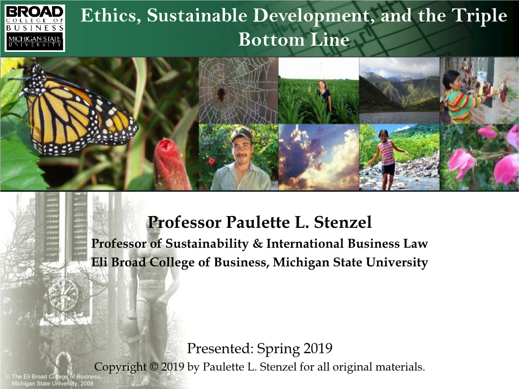 Ethics, Sustainable Development, and the Triple Bottom Line