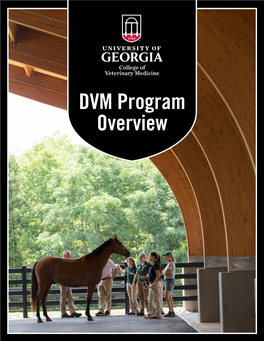 DVM Program Overview