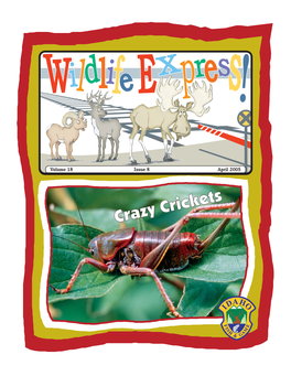 2005 April Wildlife Express