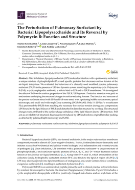 The Perturbation of Pulmonary Surfactant by Bacterial Lipopolysaccharide and Its Reversal by Polymyxin B: Function and Structure