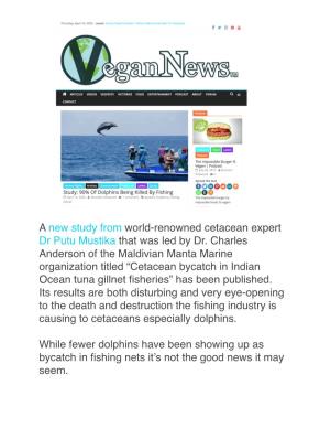 Study- 90% of Dolphins Being Killed by Fishing