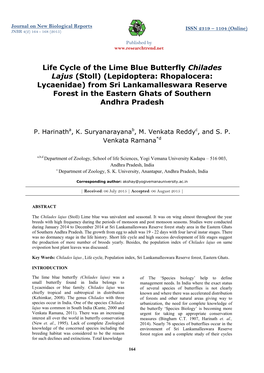 Life Cycle of the Lime Blue Butterfly Chilades Lajus