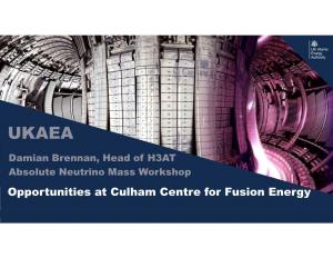 Opportunities at Culham Centre for Fusion Energy UKAEA